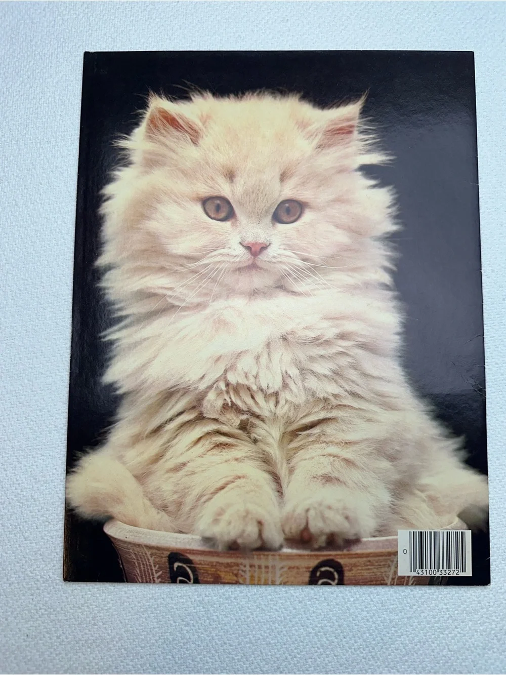 Vintage 1970s Mead Kitten Cat Folder Soft Cream Cat Cover